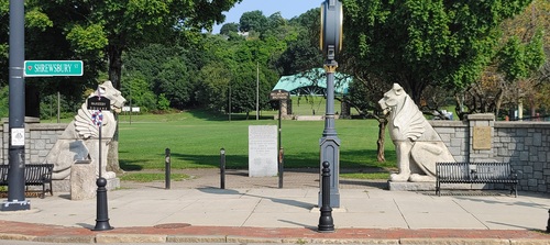 CIR @ Colombo Park. Family Movie Screening image