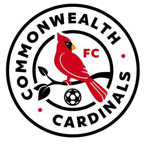Commonwealth Cardinals Any Home Game Flex Pass image