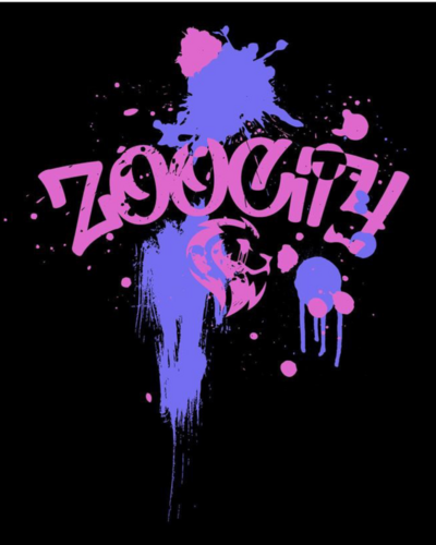 Zoo City FC Arena Camp poster