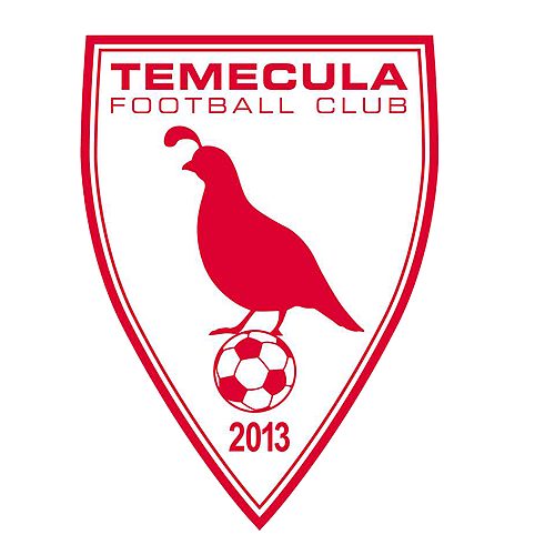 Riverside County Cup Match Temecula FC poster