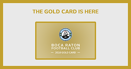2018 Season Passes NPSL - Gold Card image
