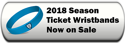 Lionsbridge FC Season Ticket Wristbands poster